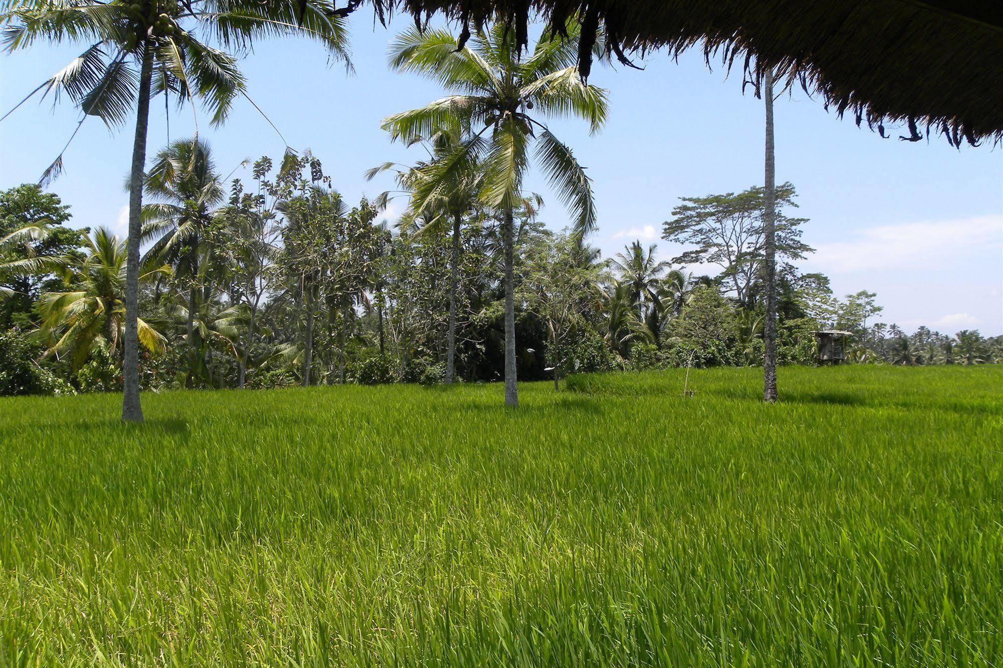 Saudara Home Ubud Exterior foto