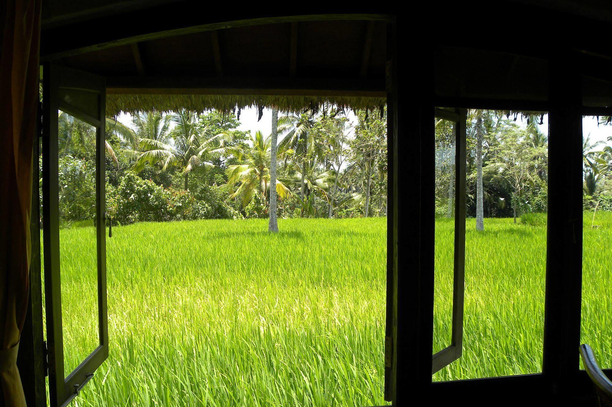Saudara Home Ubud Exterior foto